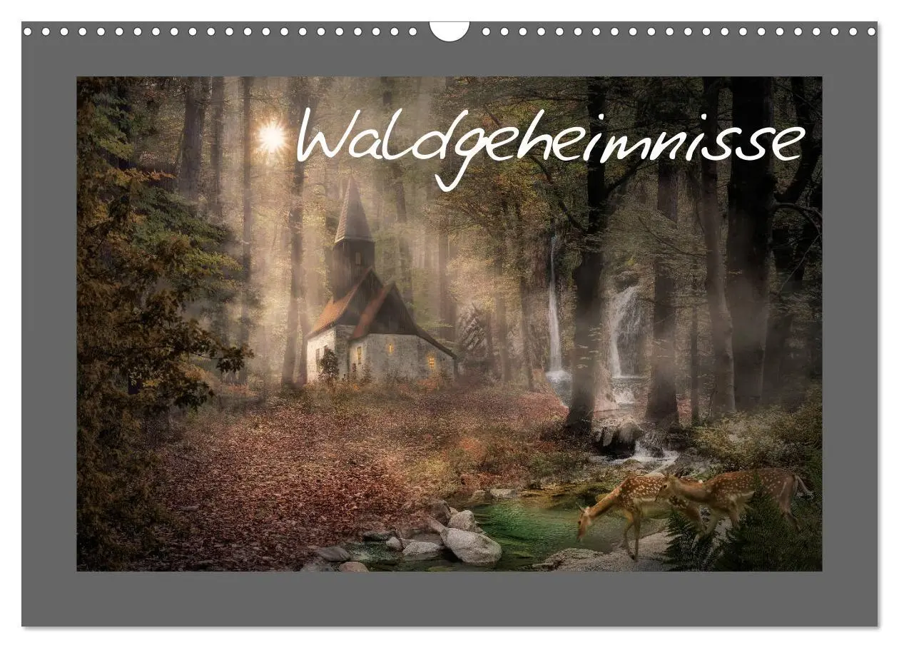 Cover: 9783457813348 | Waldgeheimnisse (Wandkalender 2026 DIN A3 quer), CALVENDO...