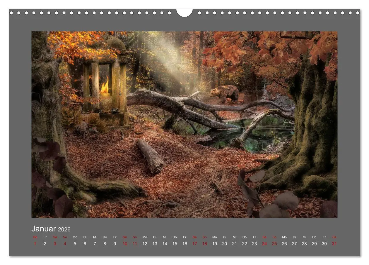 Bild: 9783457813348 | Waldgeheimnisse (Wandkalender 2026 DIN A3 quer), CALVENDO...