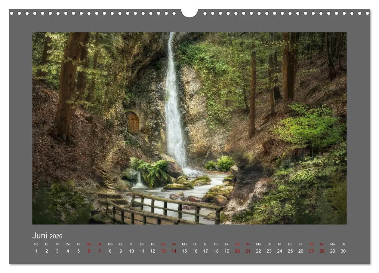 Bild: 9783457813348 | Waldgeheimnisse (Wandkalender 2026 DIN A3 quer), CALVENDO...