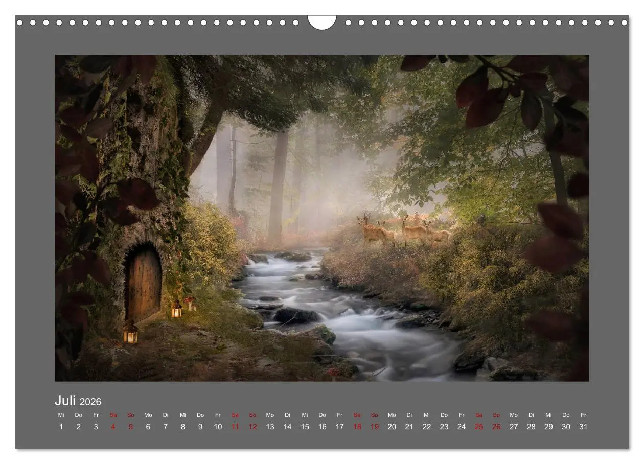 Bild: 9783457813348 | Waldgeheimnisse (Wandkalender 2026 DIN A3 quer), CALVENDO...