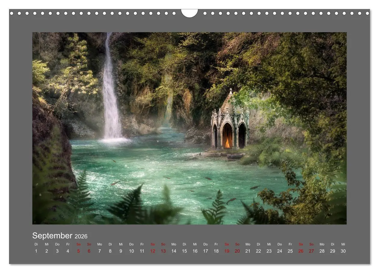 Bild: 9783457813348 | Waldgeheimnisse (Wandkalender 2026 DIN A3 quer), CALVENDO...