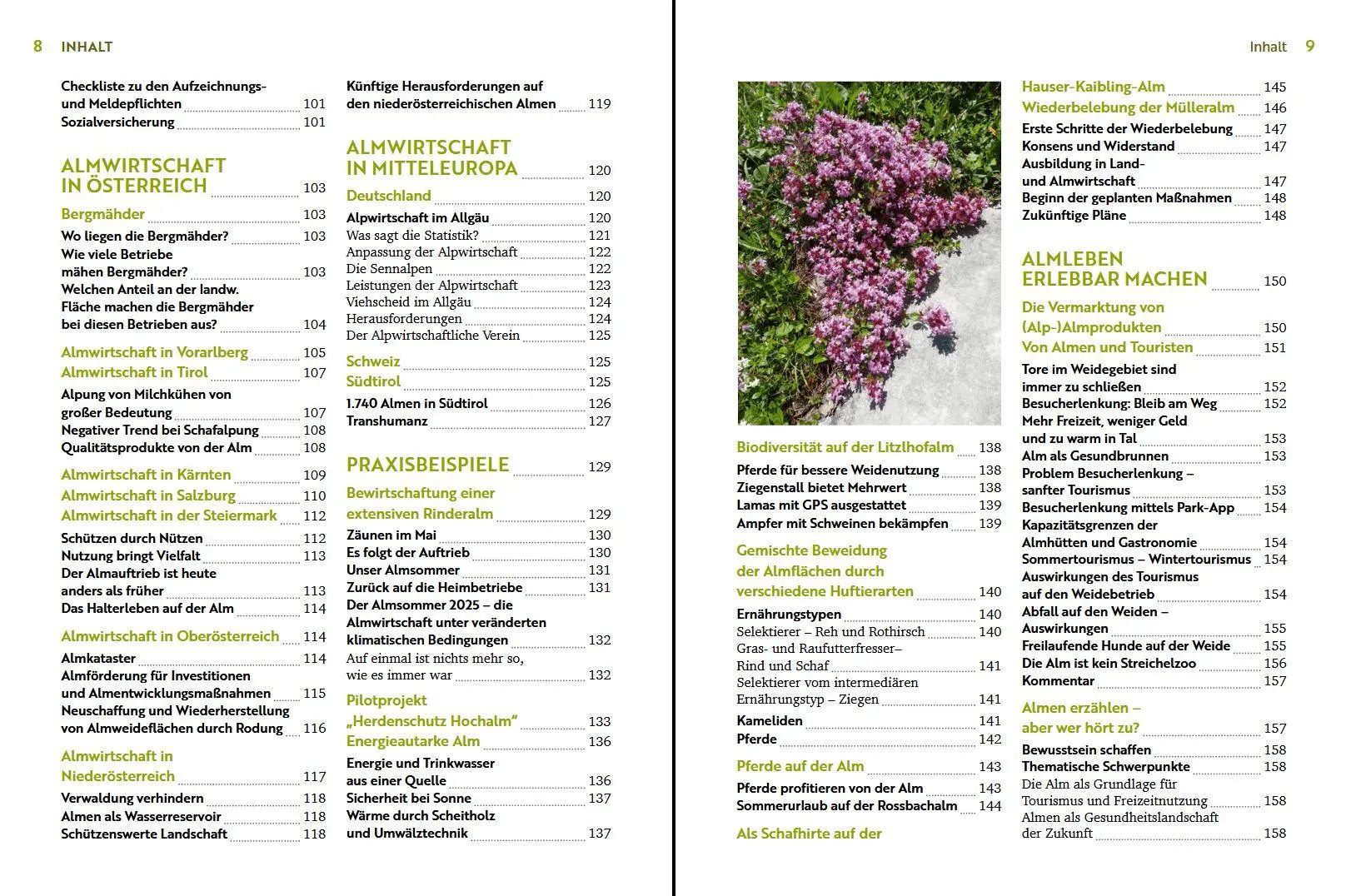 Bild: 9783702023348 | Über die Alm | Alpine Lebensräume zeitgemäß bewirtschaften | Buch