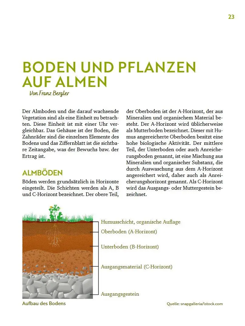 Bild: 9783702023348 | Über die Alm | Alpine Lebensräume zeitgemäß bewirtschaften | Buch