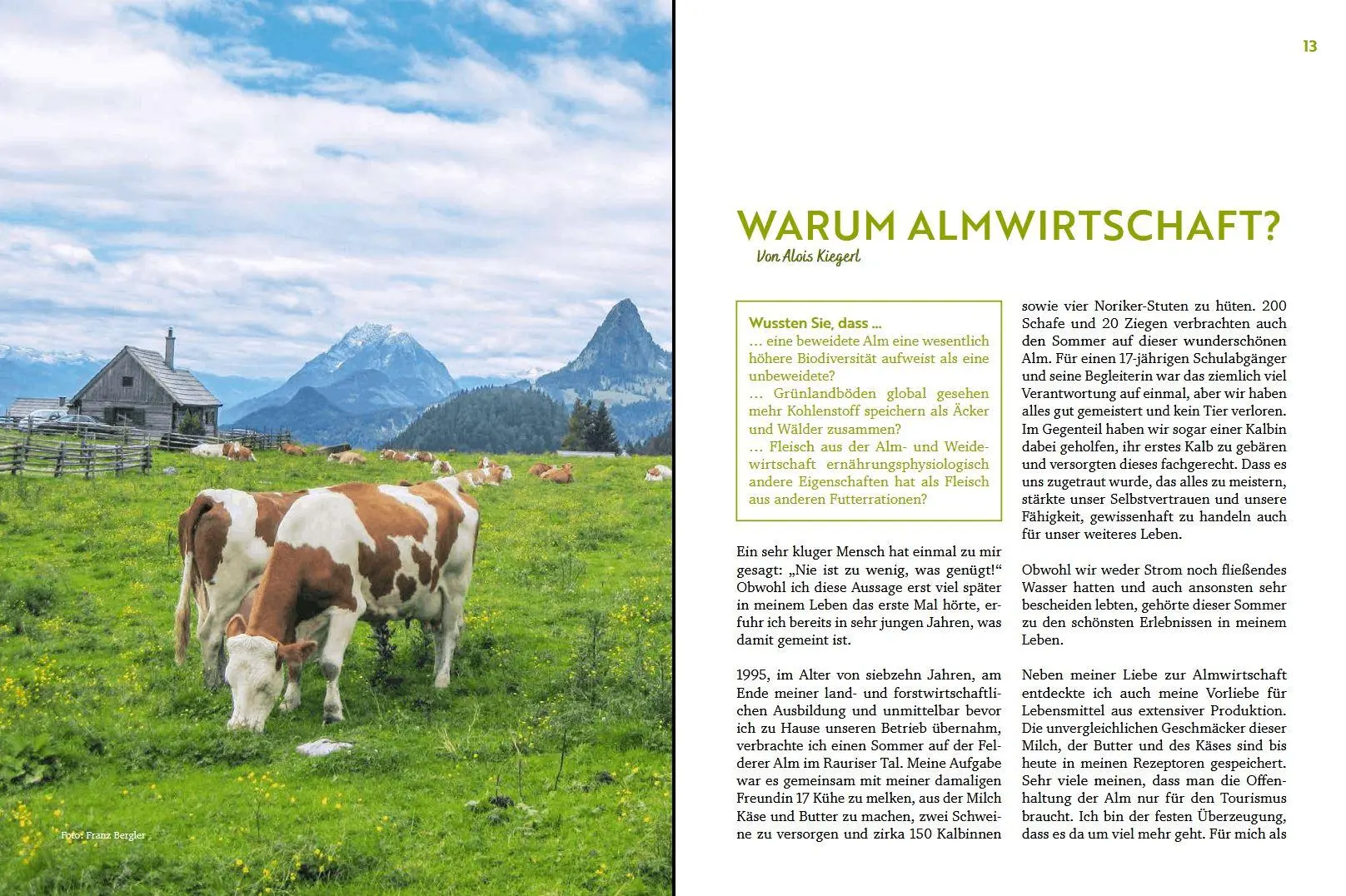 Bild: 9783702023348 | Über die Alm | Alpine Lebensräume zeitgemäß bewirtschaften | Buch