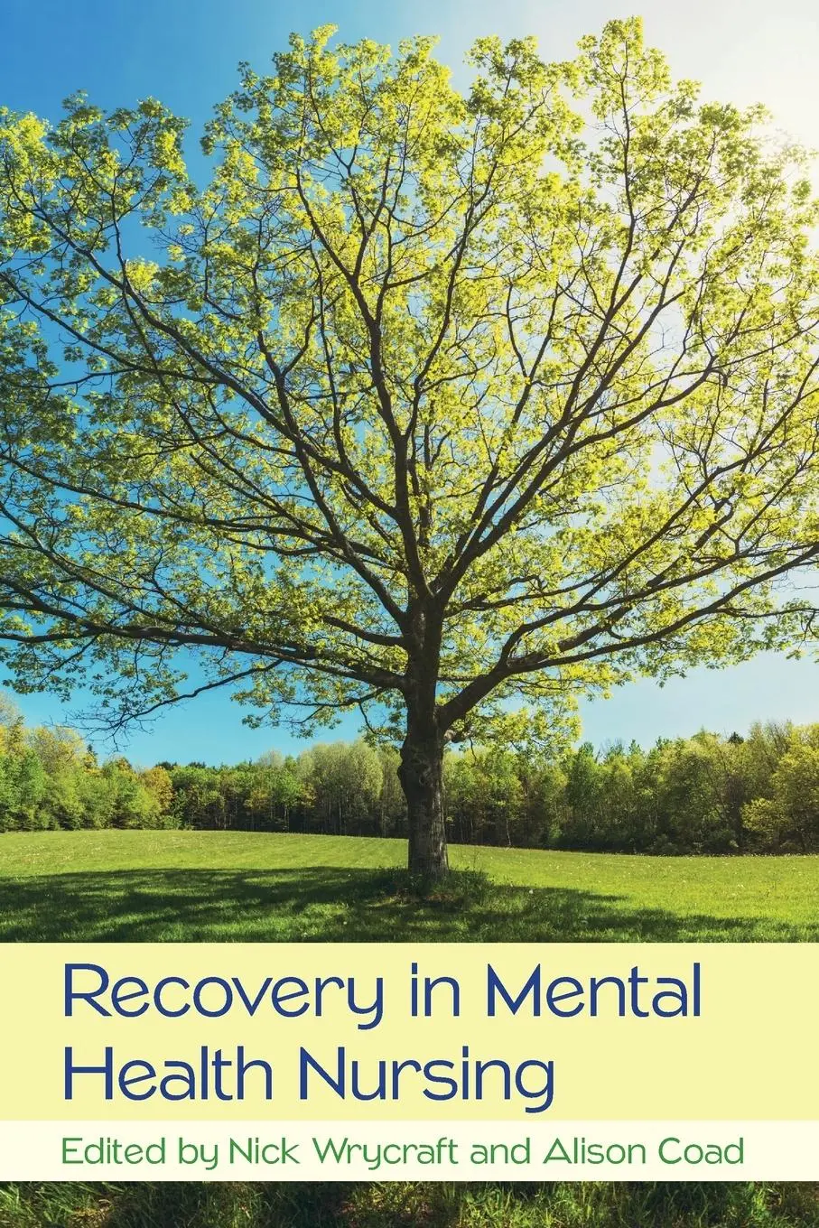 Cover: 9780335263448 | Recovery in Mental Health Nursing | Wrycraft | Taschenbuch | Englisch