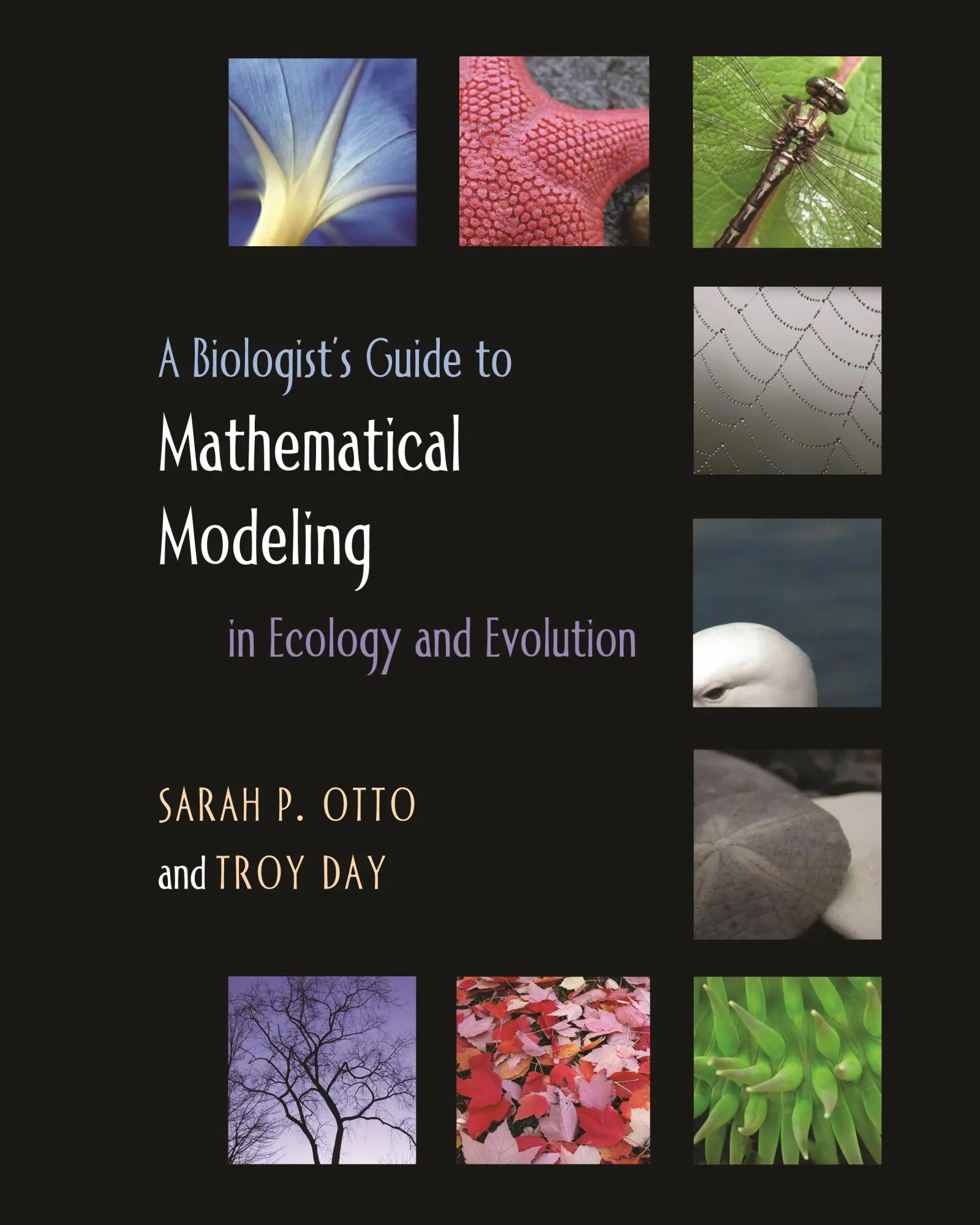 Cover: 9780691123448 | A Biologist's Guide to Mathematical Modeling in Ecology and Evolution