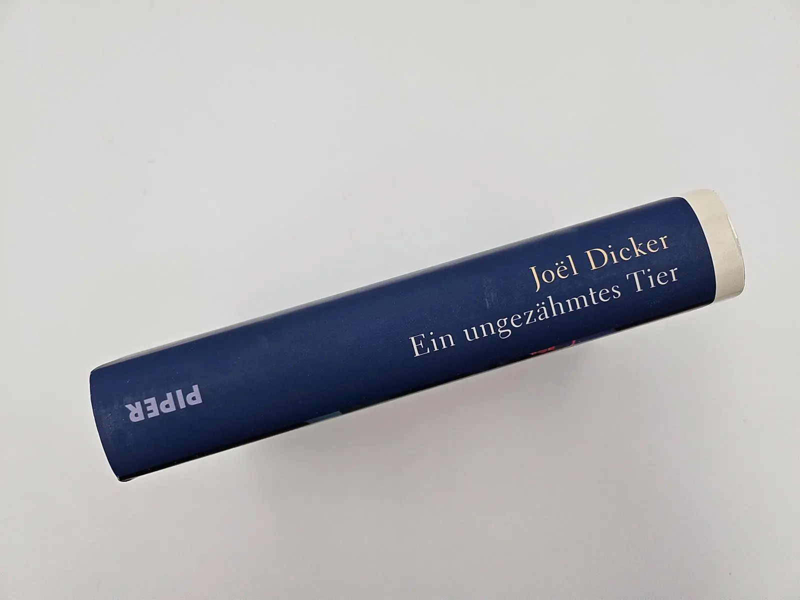 Bild: 9783492073448 | Ein ungezähmtes Tier | Joël Dicker | Buch | 432 S. | Deutsch | 2025