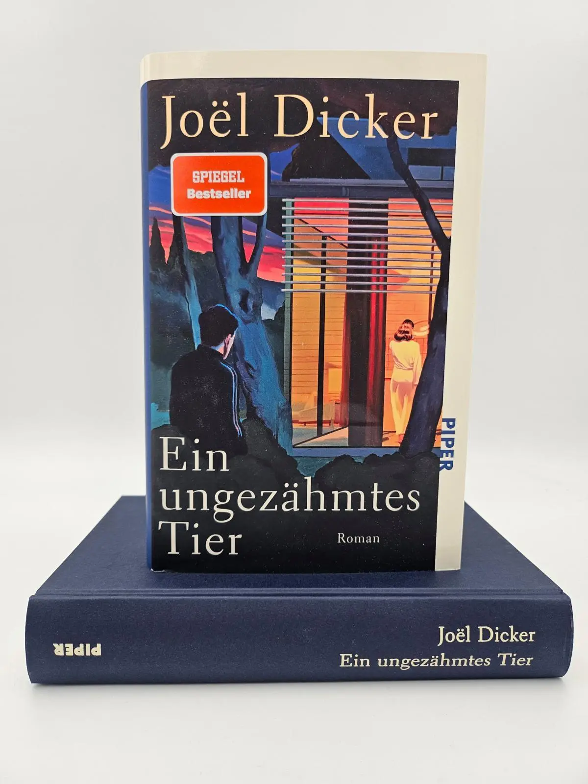 Bild: 9783492073448 | Ein ungezähmtes Tier | Joël Dicker | Buch | 432 S. | Deutsch | 2025