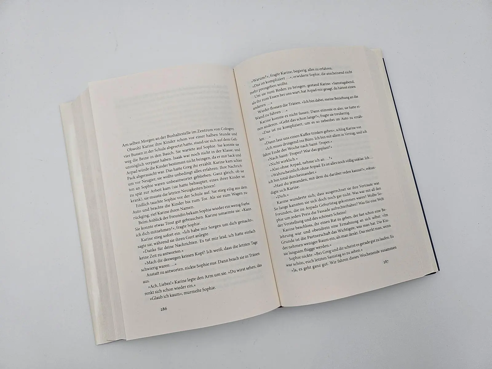 Bild: 9783492073448 | Ein ungezähmtes Tier | Joël Dicker | Buch | 432 S. | Deutsch | 2025