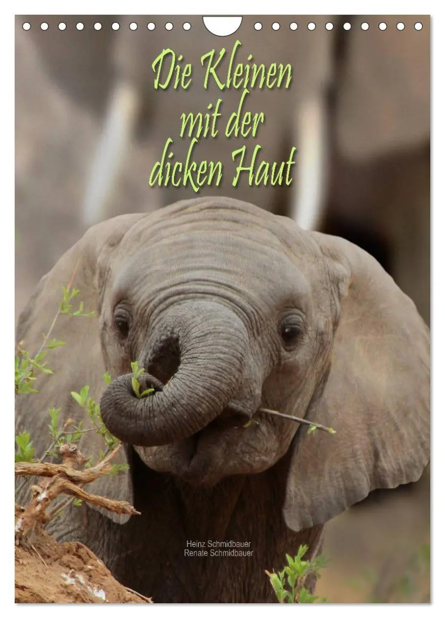 Cover: 9783516443448 | Die Kleinen mit der dicken Haut (Wandkalender 2026 DIN A4 hoch),...
