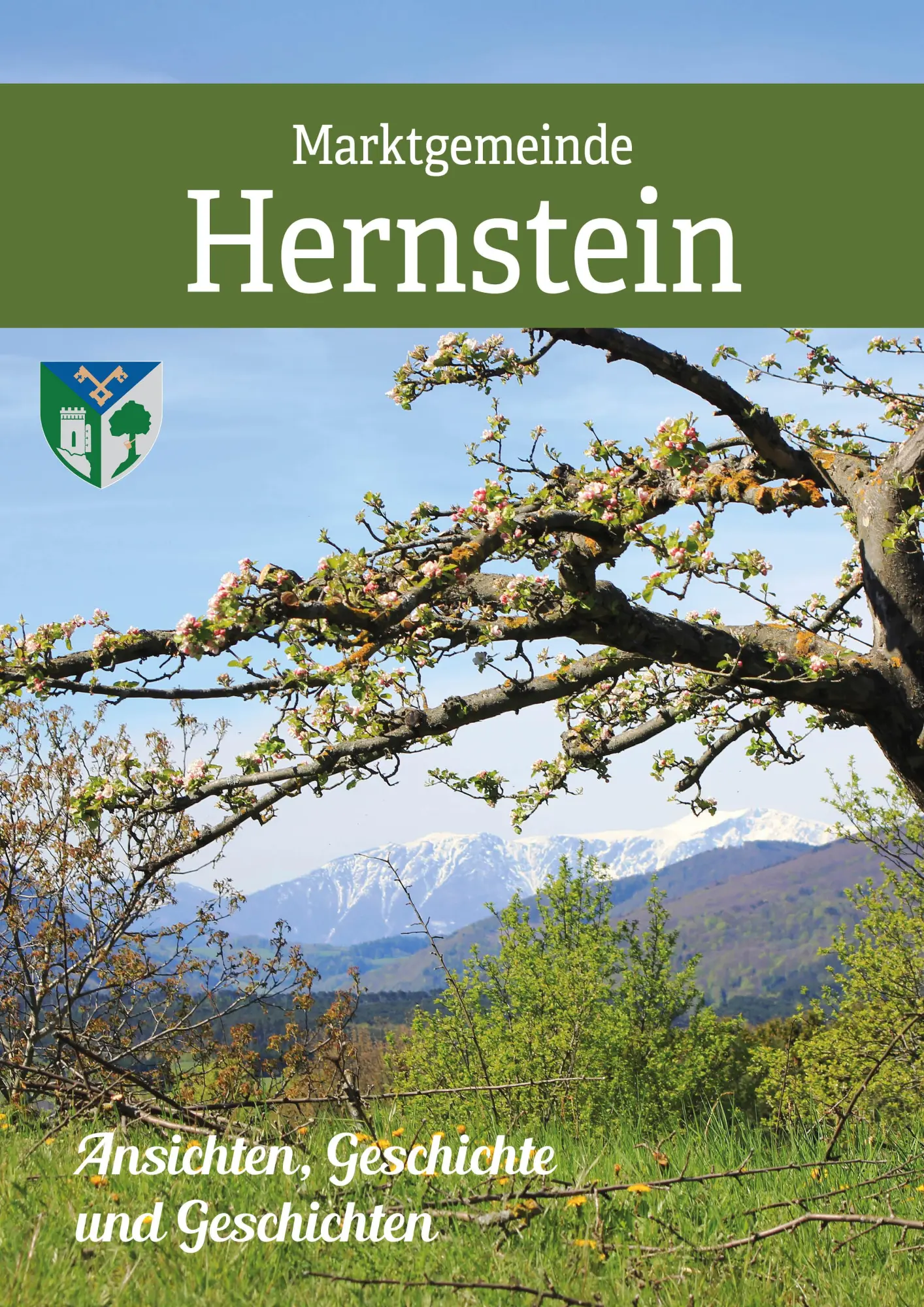 Cover: 9783991033448 | Gemeinde Hernstein in historischen Ansichten | Reinhold Simon | Buch