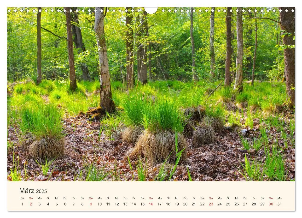 Bild: 9783435183548 | Ummanz - Naturparadies in der Rügener Boddenlandschaft...