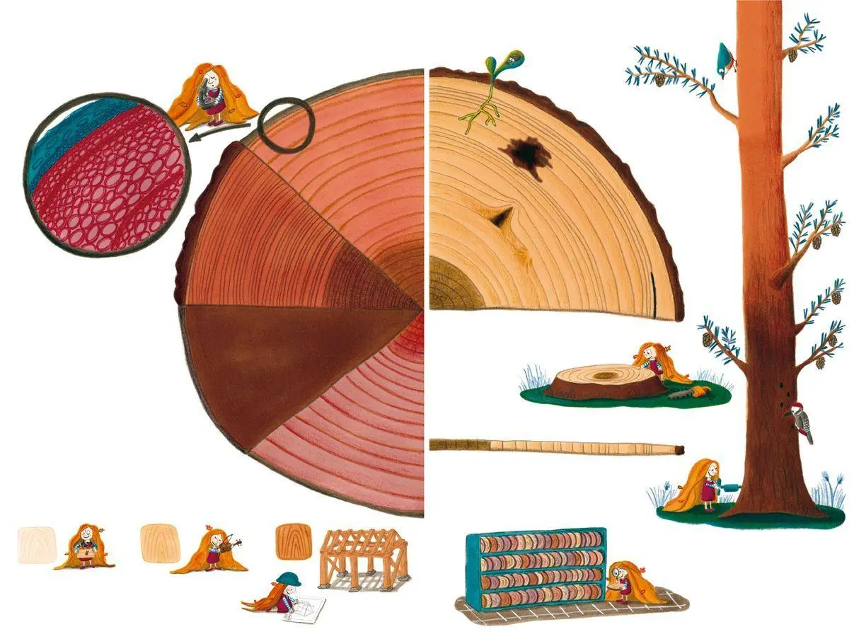 Bild: 9783702243548 | Der Wald - unser grünes Zuhause | Sara Fernández | Buch | 100 S.