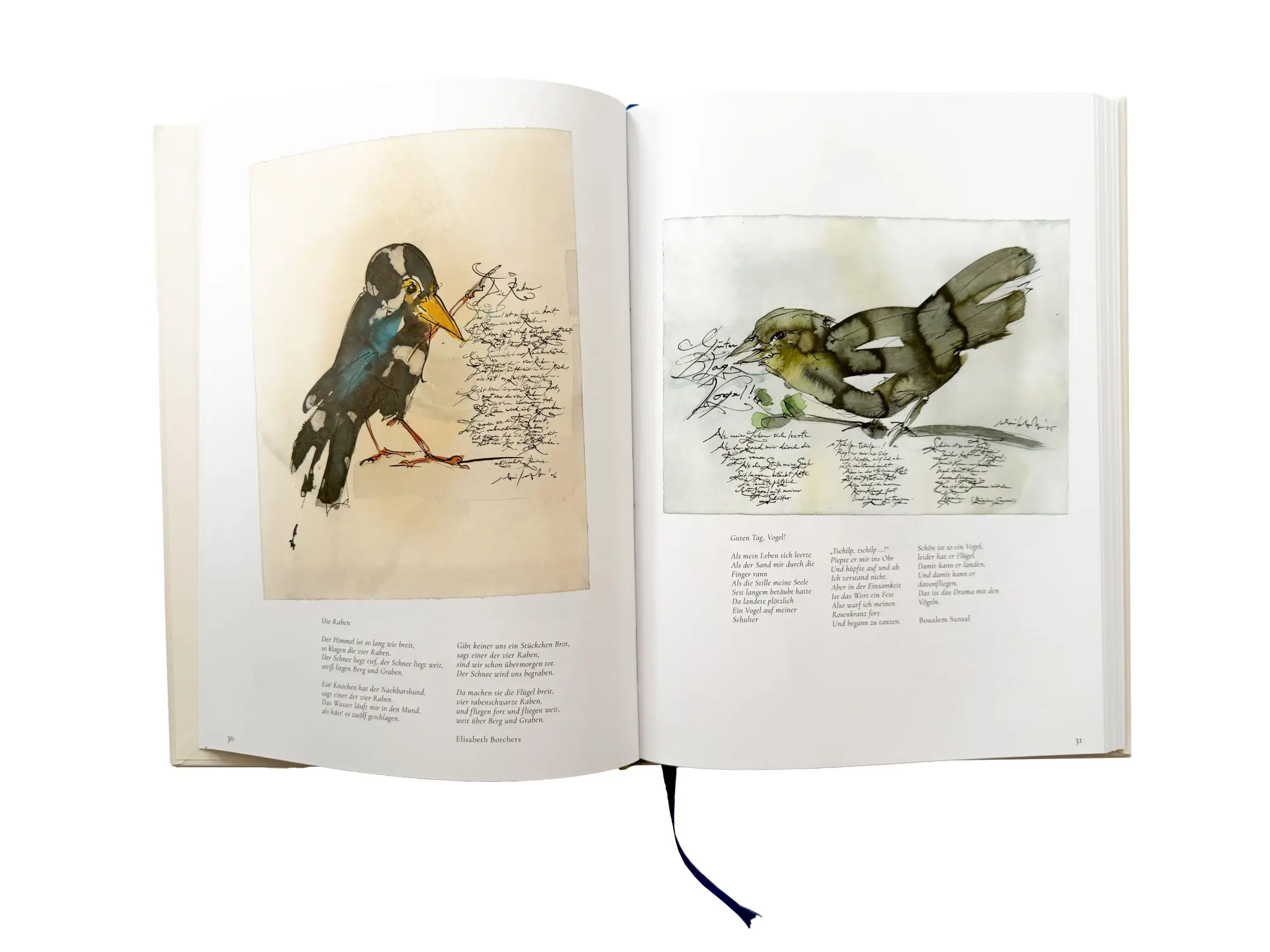 Bild: 9783875363548 | Gefiederte Freunde | Vogel Zeichnungen mit Vogel Gedichten | Buch