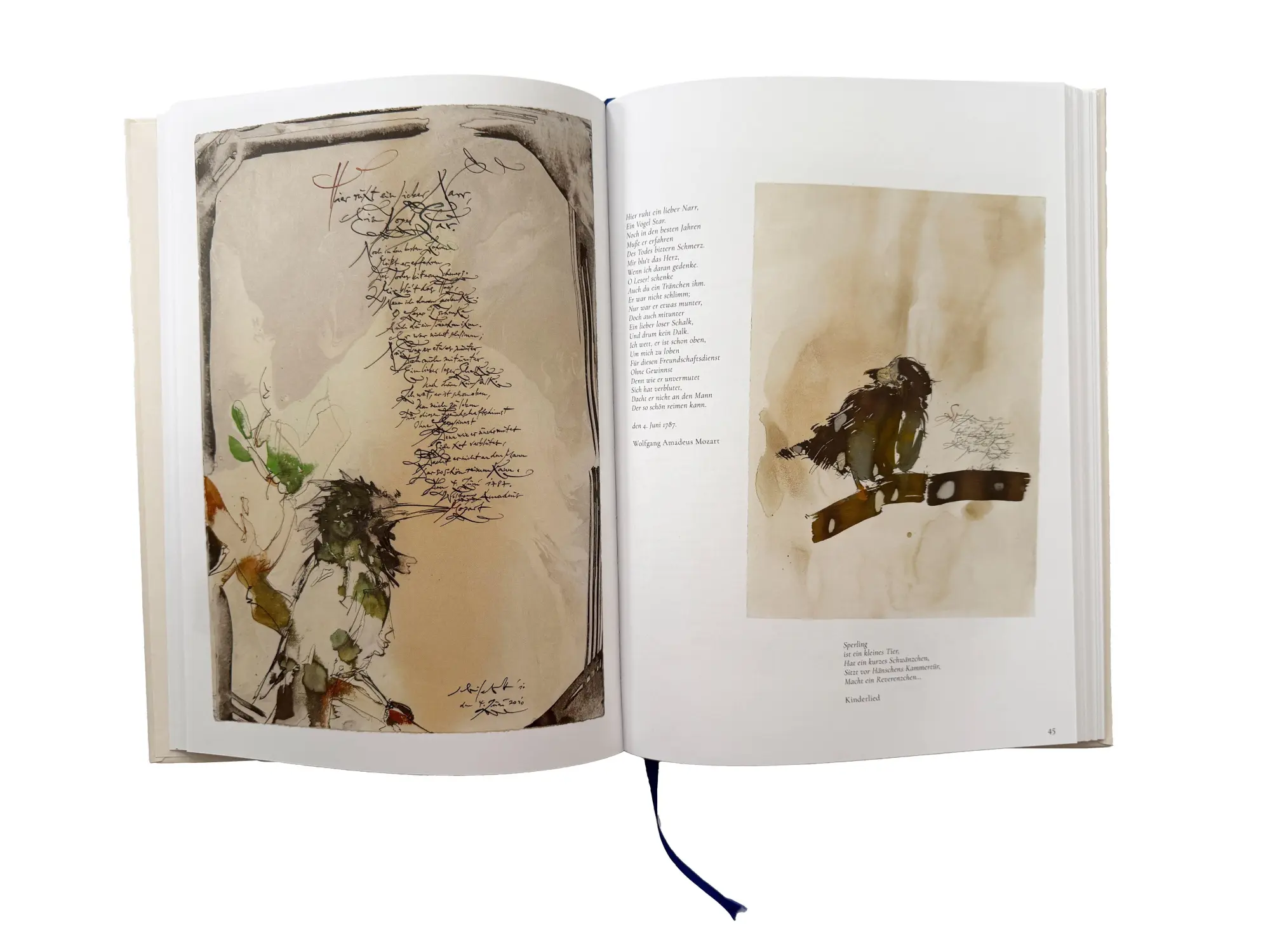 Bild: 9783875363548 | Gefiederte Freunde | Vogel Zeichnungen mit Vogel Gedichten | Buch