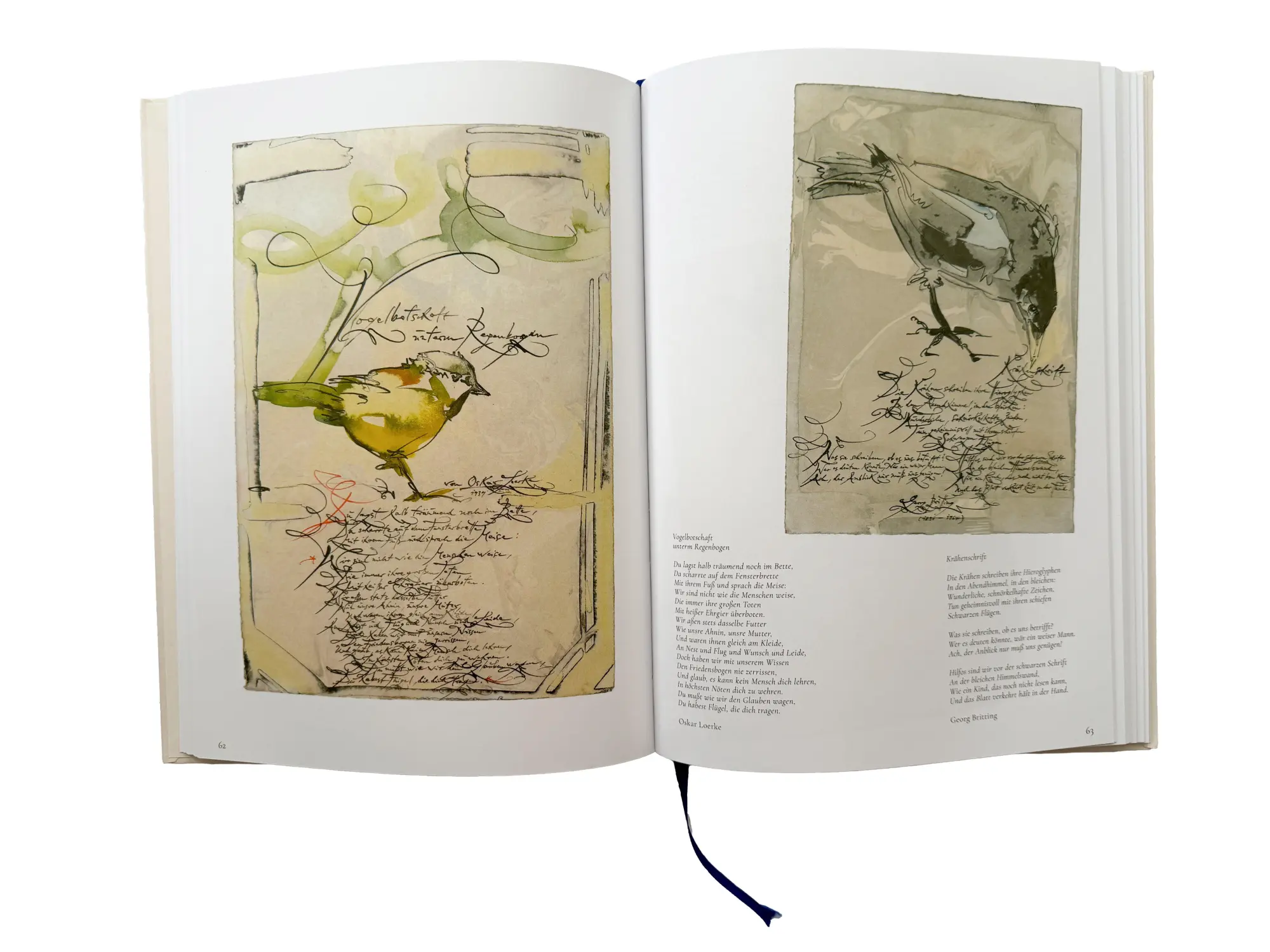 Bild: 9783875363548 | Gefiederte Freunde | Vogel Zeichnungen mit Vogel Gedichten | Buch
