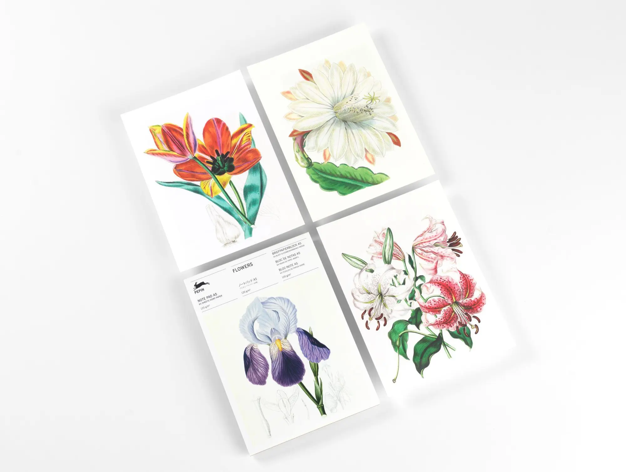 Bild: 9789460093548 | Flowers | Writing Paper &amp; Note Pad A5 | Pepin Van Roojen | Deutsch