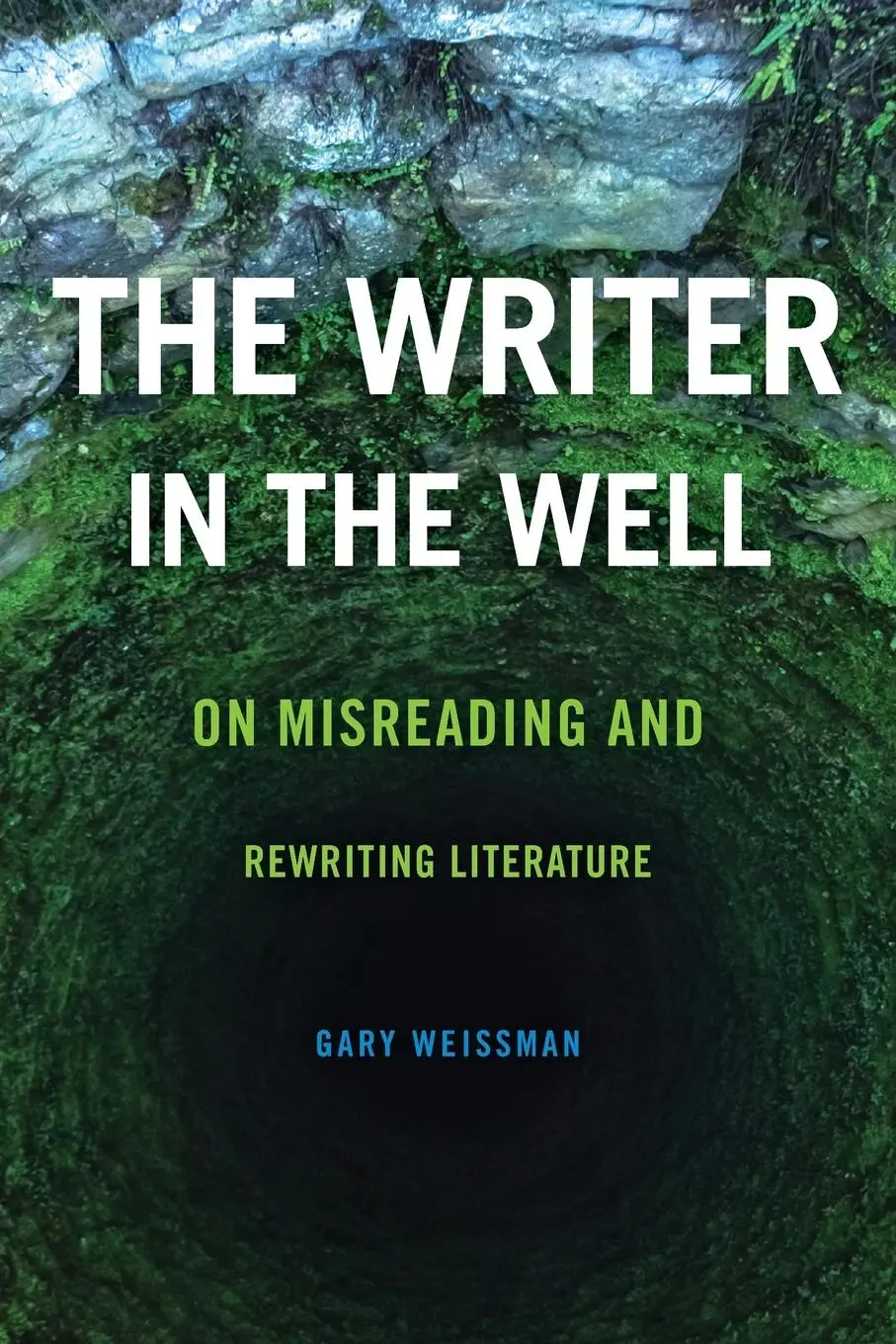 Cover: 9780814253748 | The Writer in the Well | On Misreading and Rewriting Literature | Buch