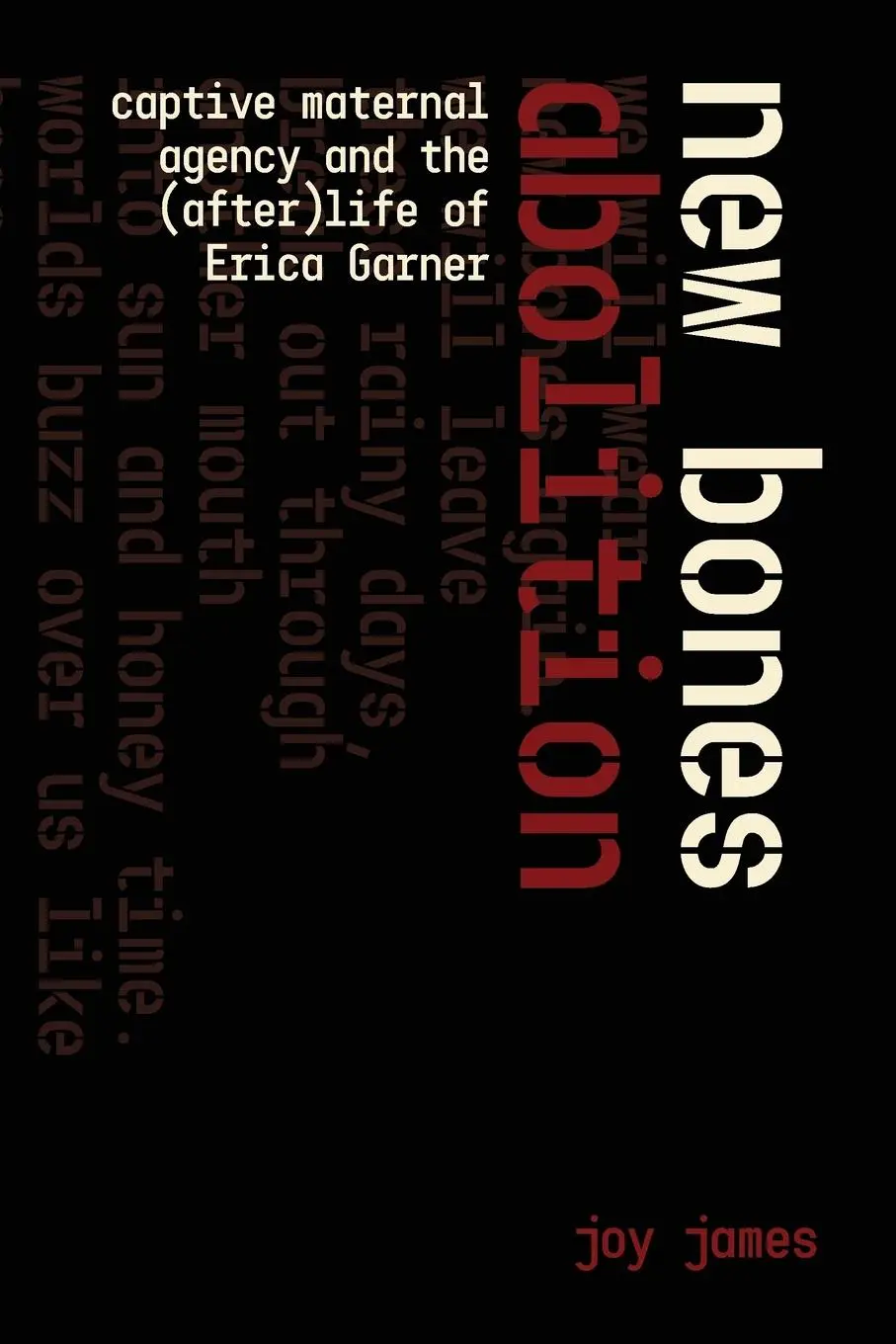 Cover: 9781942173748 | New Bones Abolition | Joy James | Taschenbuch | Englisch | 2023