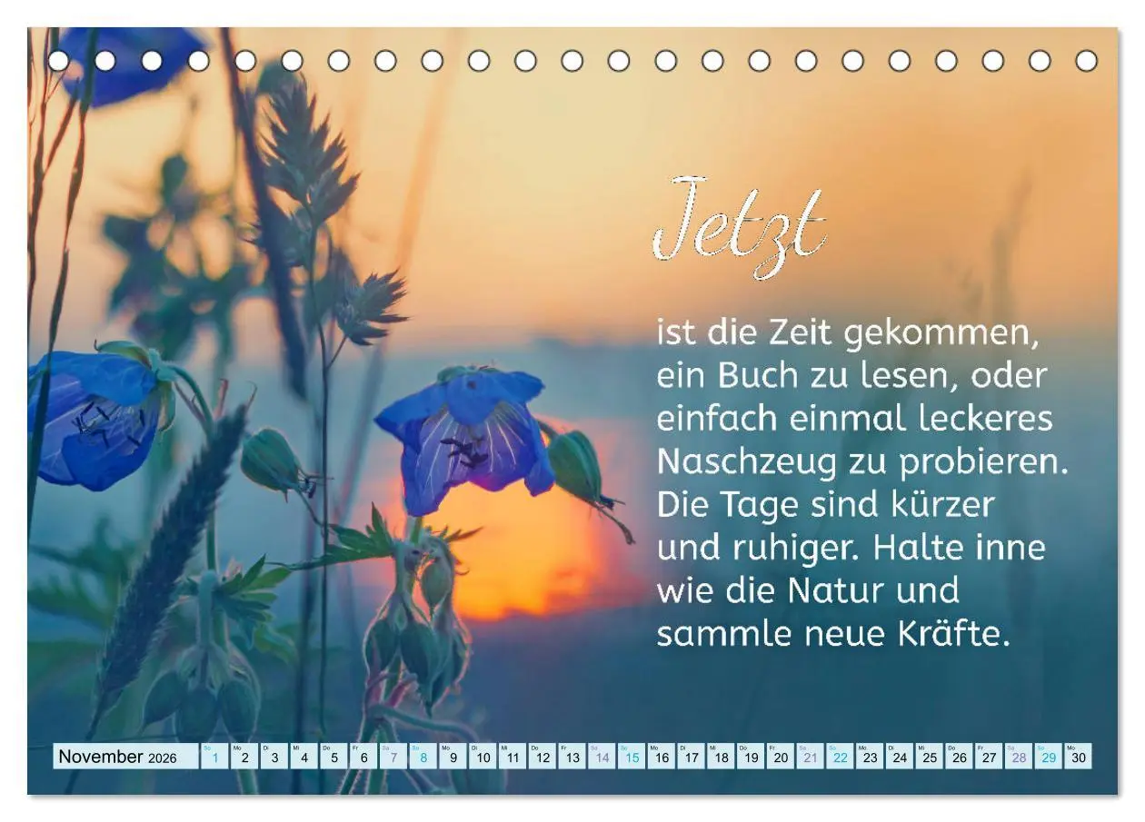 Bild: 9783457703748 | Der Spruchkalender - Inspirationen (Tischkalender 2026 DIN A5...