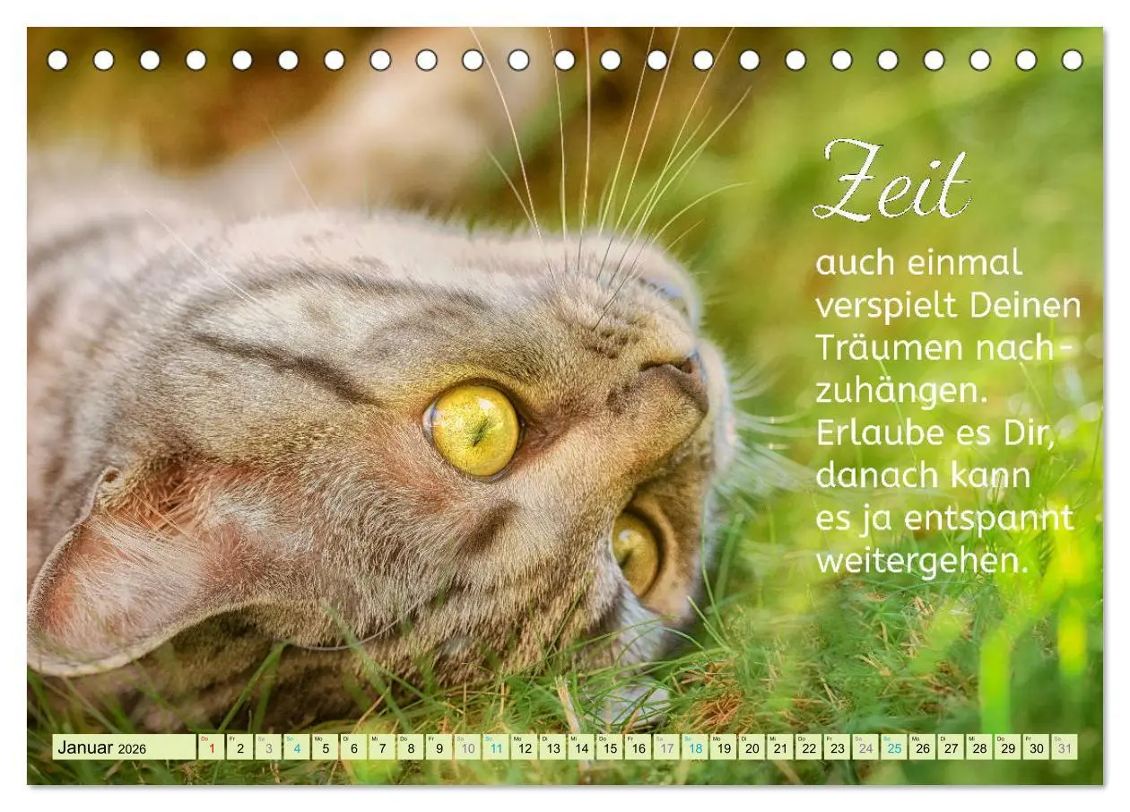 Bild: 9783457703748 | Der Spruchkalender - Inspirationen (Tischkalender 2026 DIN A5...