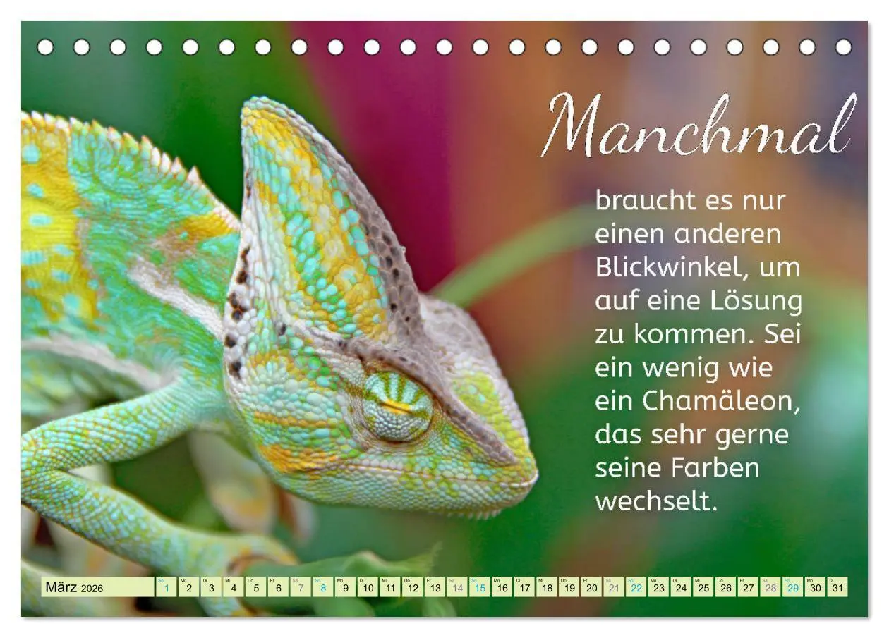 Bild: 9783457703748 | Der Spruchkalender - Inspirationen (Tischkalender 2026 DIN A5...
