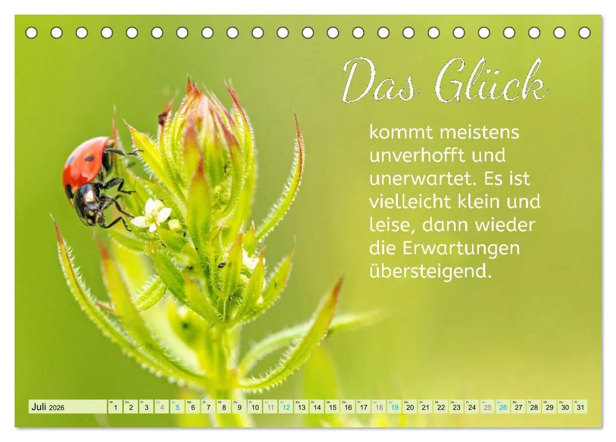 Bild: 9783457703748 | Der Spruchkalender - Inspirationen (Tischkalender 2026 DIN A5...