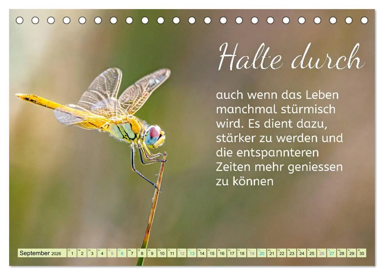Bild: 9783457703748 | Der Spruchkalender - Inspirationen (Tischkalender 2026 DIN A5...