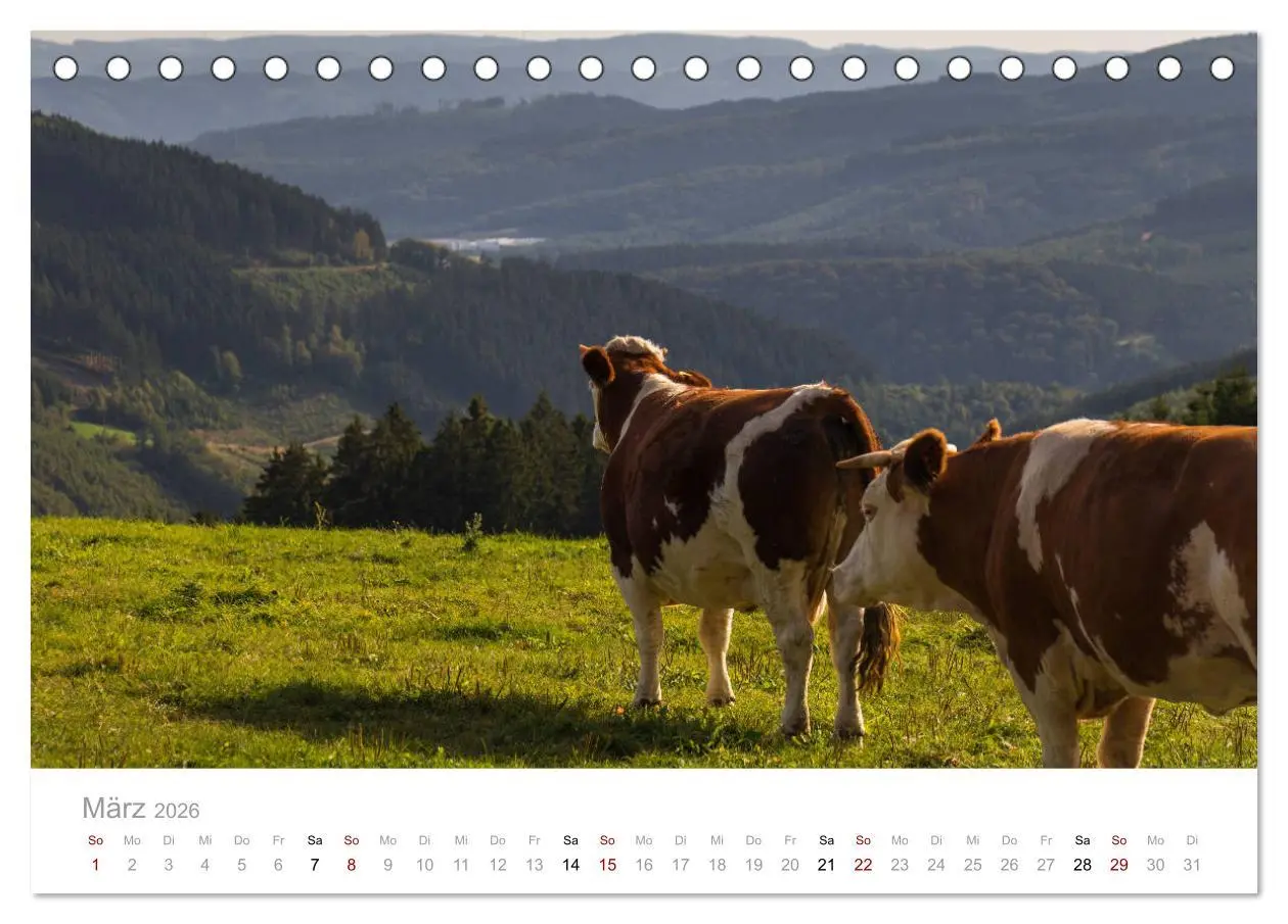 Bild: 9783457873748 | Schönes Sauerland (Tischkalender 2026 DIN A5 quer), CALVENDO...