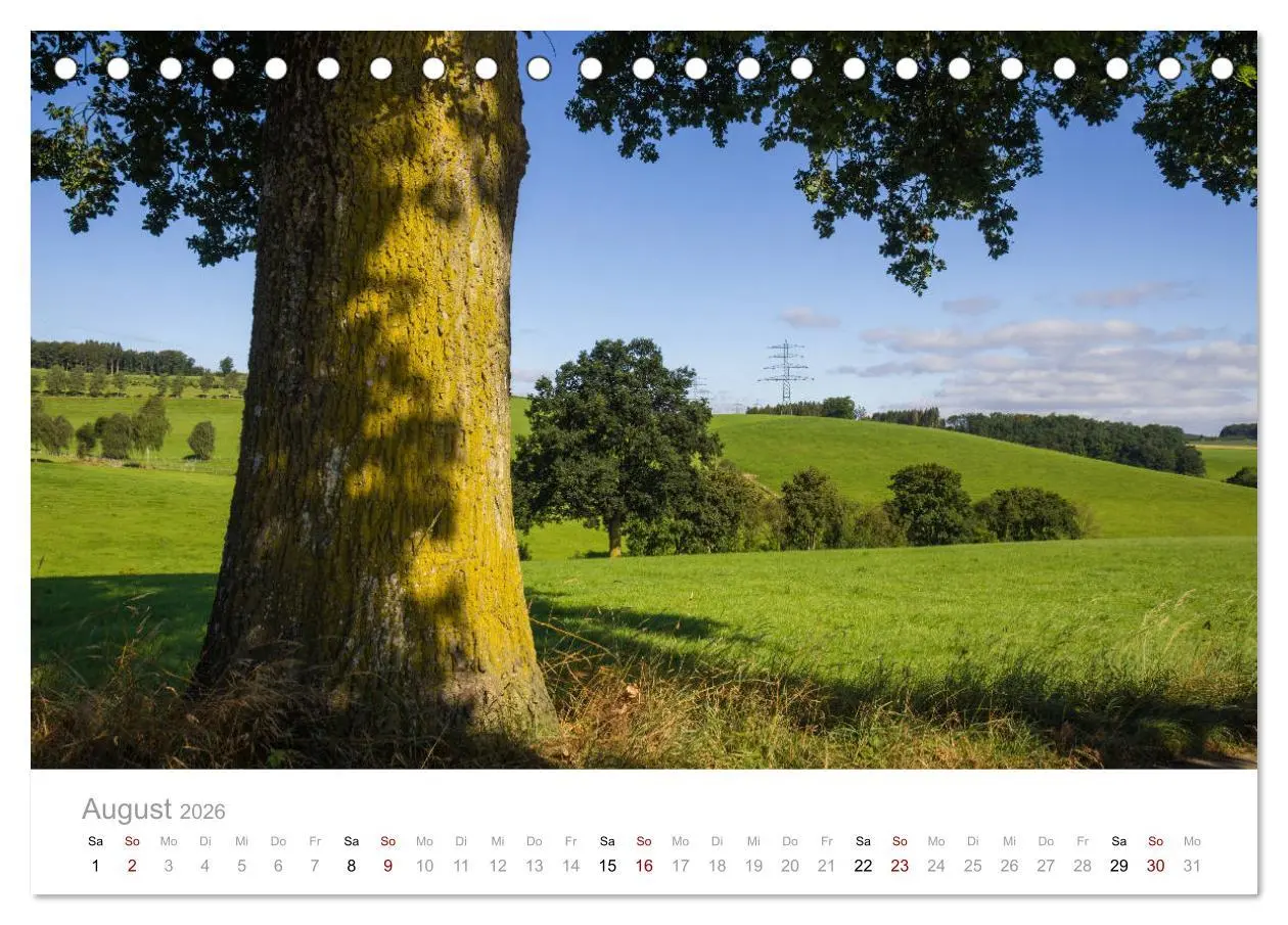 Bild: 9783457873748 | Schönes Sauerland (Tischkalender 2026 DIN A5 quer), CALVENDO...