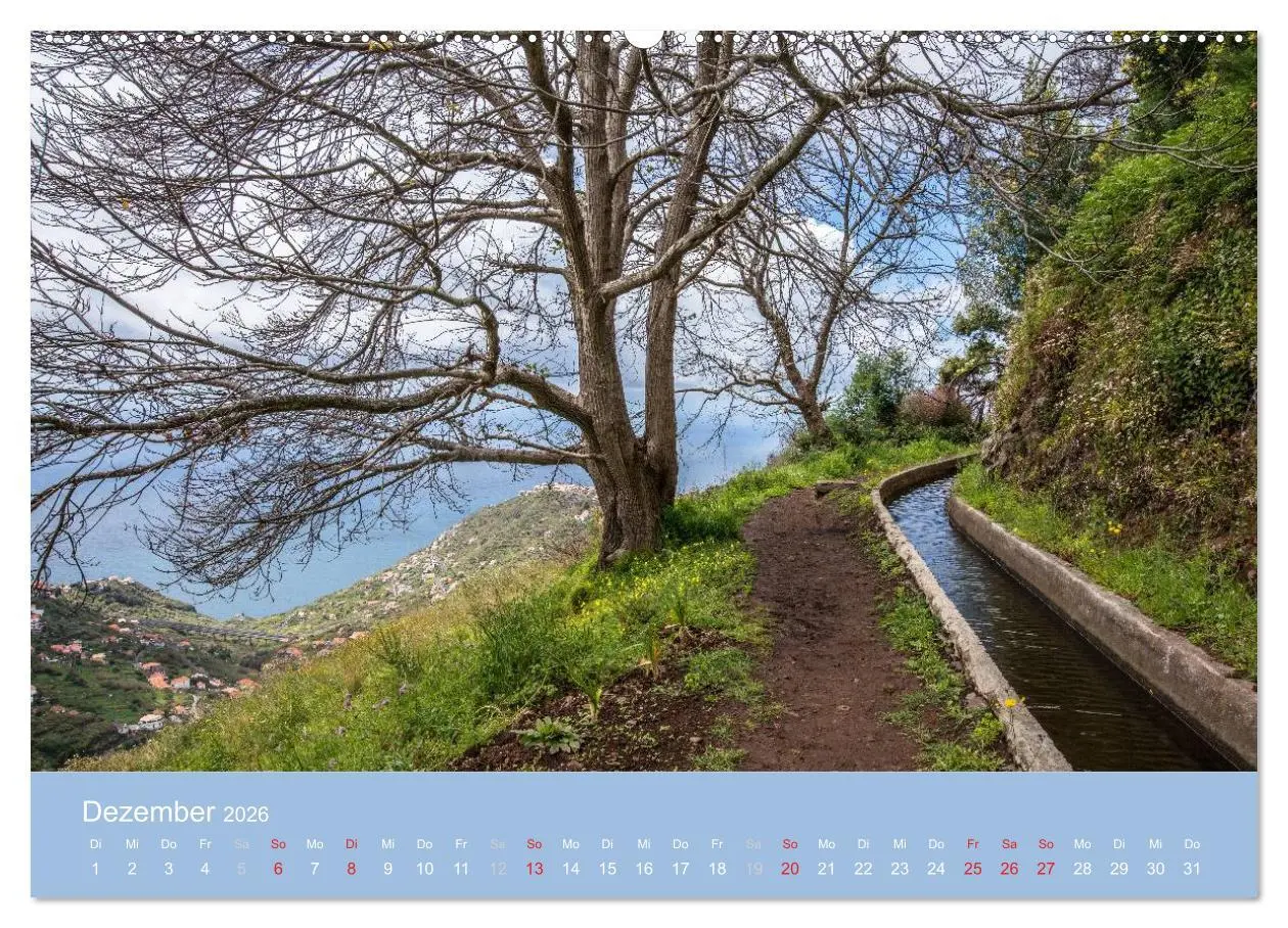 Bild: 9783516103748 | Zauberhaftes Madeira (Wandkalender 2026 DIN A2 quer), CALVENDO...