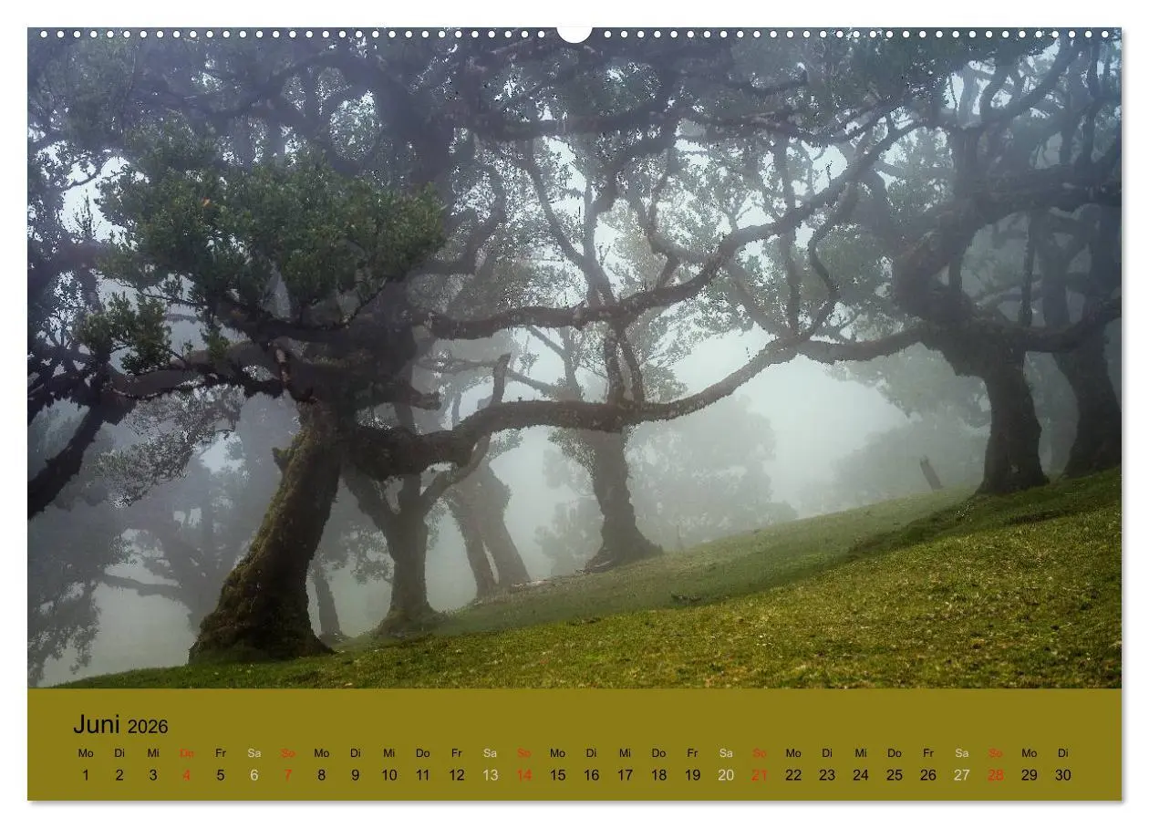 Bild: 9783516103748 | Zauberhaftes Madeira (Wandkalender 2026 DIN A2 quer), CALVENDO...