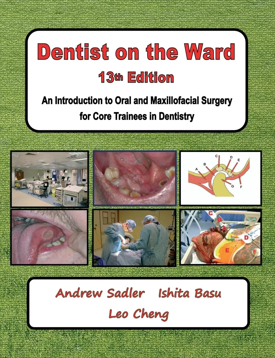 Cover: 9781739383848 | Dentist on the Ward 13th Edition | Andrew Sadler (u. a.) | Taschenbuch