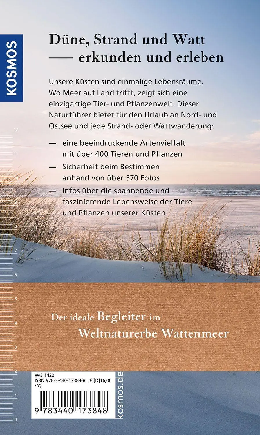 Bild: 9783440173848 | Düne, Strand und Watt | Klaus Janke (u. a.) | Taschenbuch | 336 S.