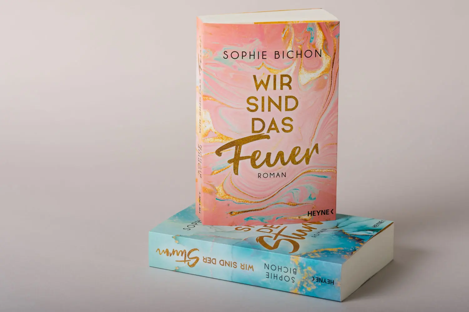 Bild: 9783453423848 | Wir sind das Feuer | Redstone 1 - Roman | Sophie Bichon | Taschenbuch