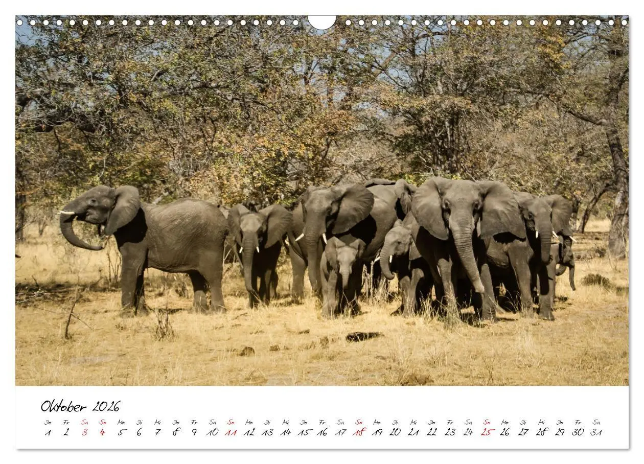 Bild: 9783457623848 | X Tage in Namibia - Ein Roadtrip im Süden von Afrika (Wandkalender...