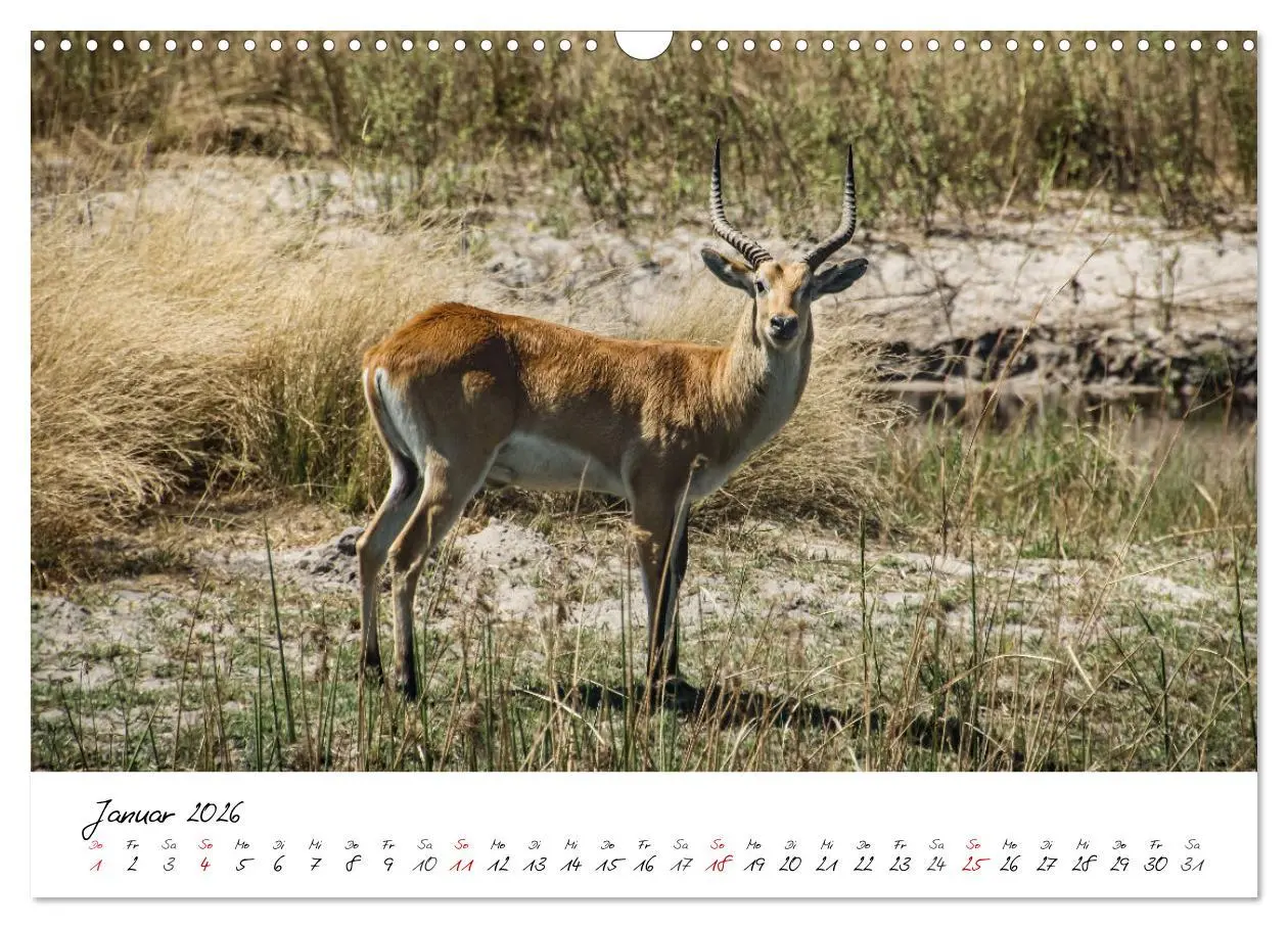 Bild: 9783457623848 | X Tage in Namibia - Ein Roadtrip im Süden von Afrika (Wandkalender...