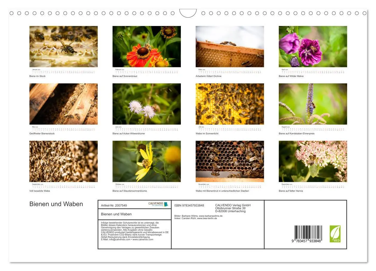 Bild: 9783457933848 | Bienen und Waben (Wandkalender 2026 DIN A3 quer), CALVENDO...