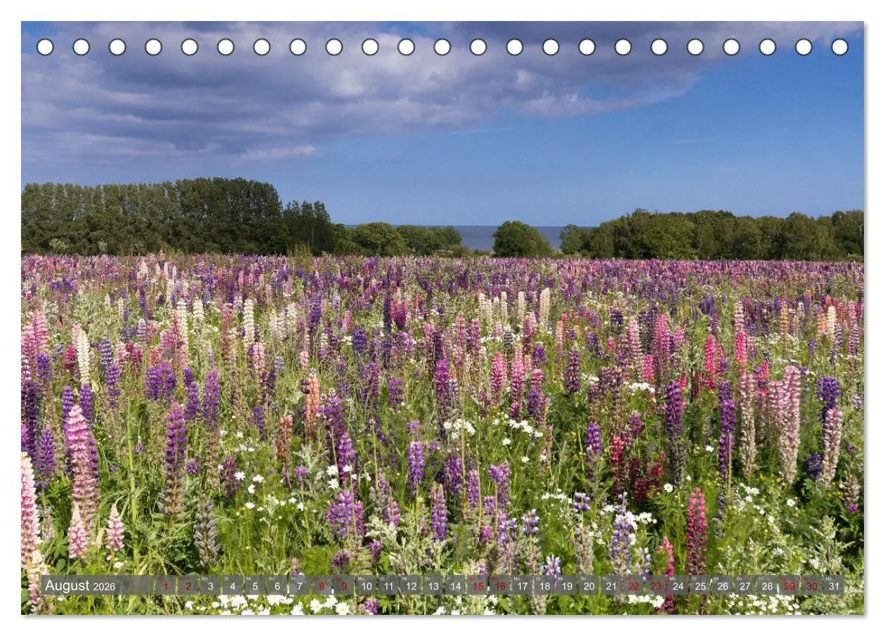 Bild: 9783457543948 | Bornholm Juwel der Ostsee (Tischkalender 2026 DIN A5 quer),...