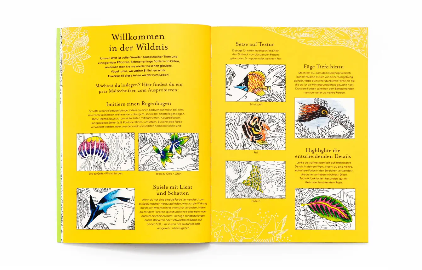 Bild: 9783962443948 | Die Rückkehr der Wildnis. Ausmalbuch | Helen Scales | Taschenbuch