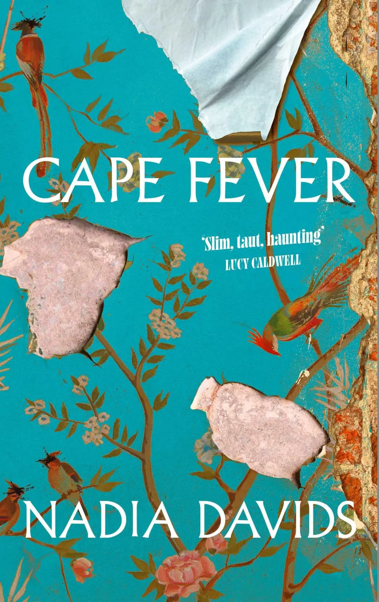 Cover: 9781398544048 | Cape Fever | Nadia Davids | Buch | Englisch | 2026 | EAN 9781398544048