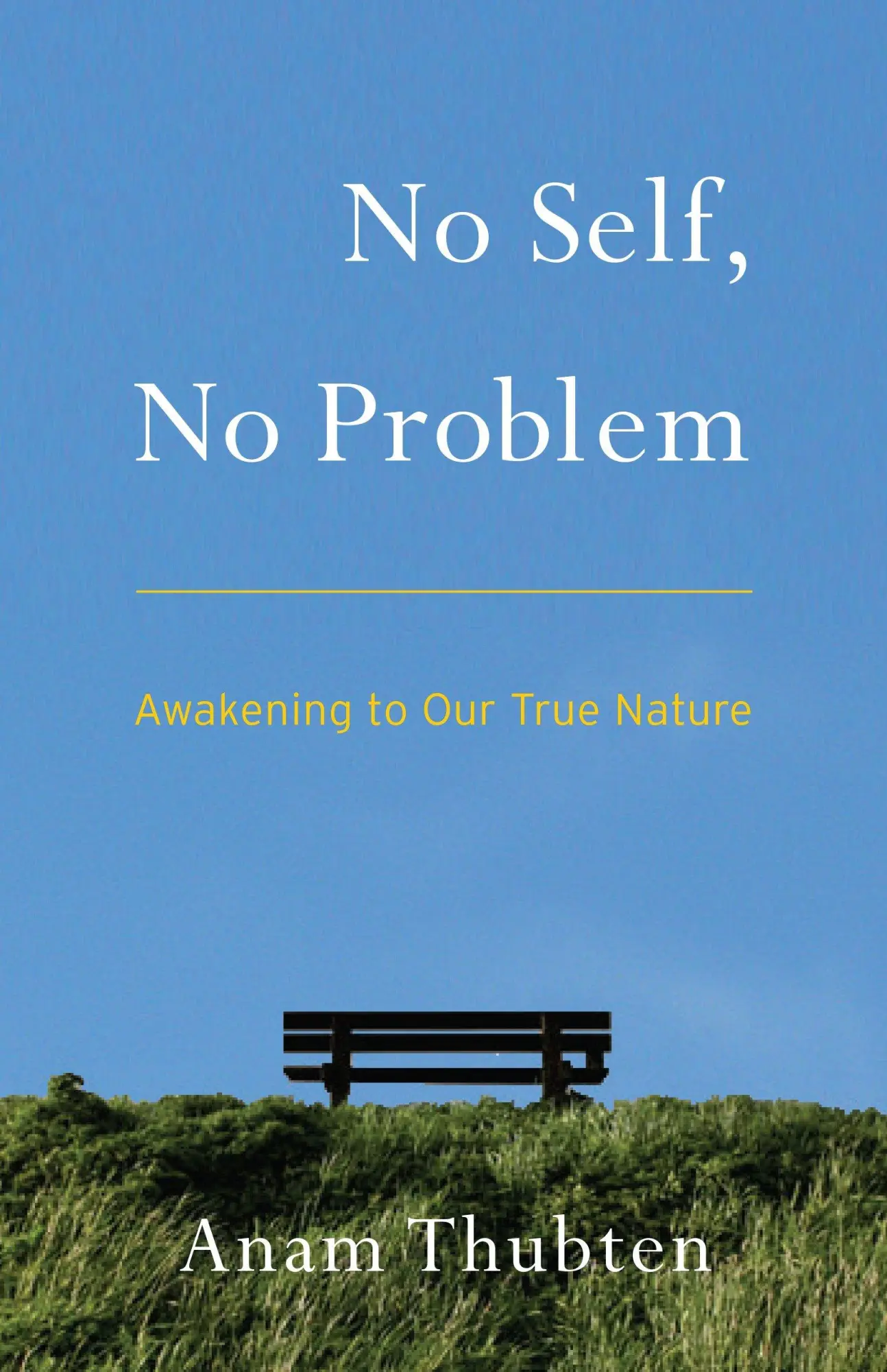 Cover: 9781559394048 | No Self, No Problem | Awakening to Our True Nature | Anam Thubten