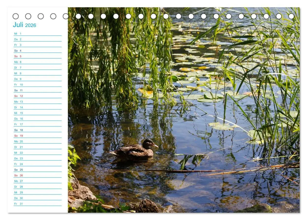 Bild: 9783457984048 | Urlaubsparadies Scharmützelsee (Tischkalender 2026 DIN A5 quer),...