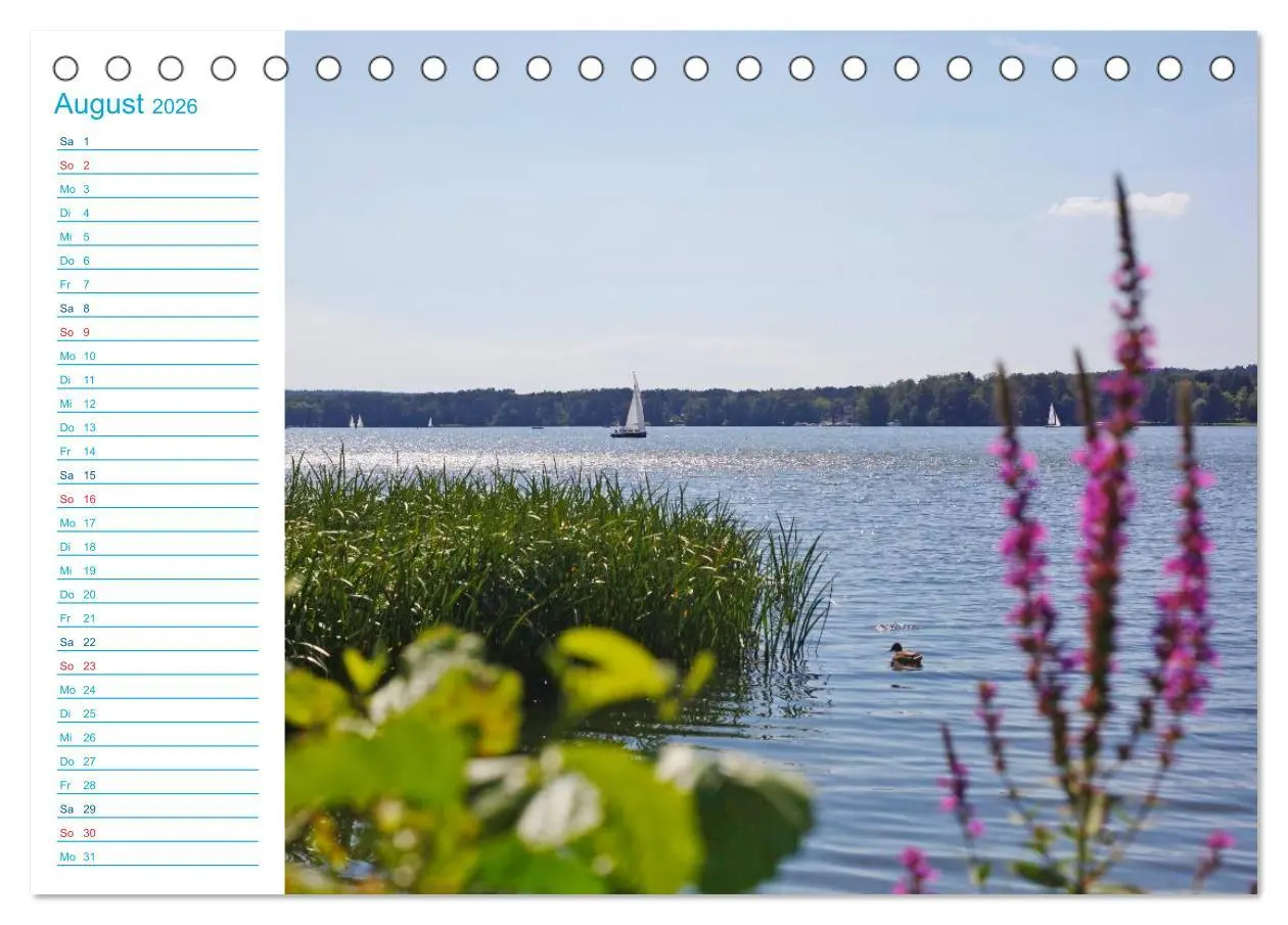 Bild: 9783457984048 | Urlaubsparadies Scharmützelsee (Tischkalender 2026 DIN A5 quer),...