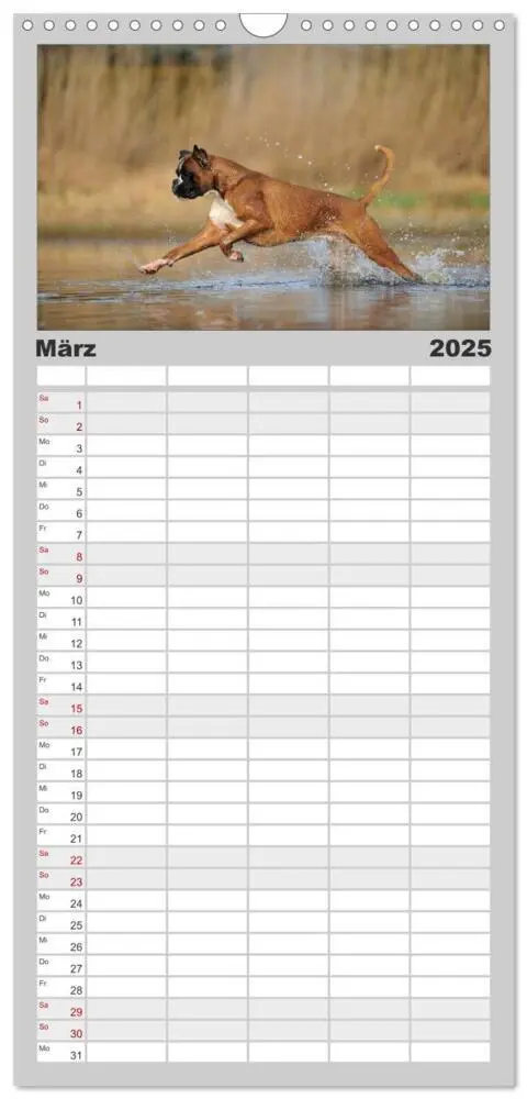 Bild: 9783457114148 | Familienplaner 2025 - Gut - besser - Boxer mit 5 Spalten...