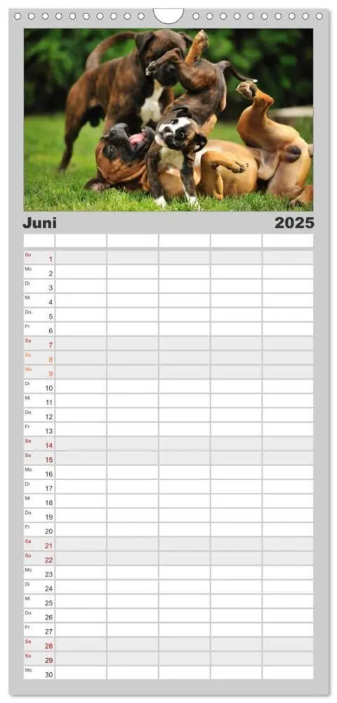 Bild: 9783457114148 | Familienplaner 2025 - Gut - besser - Boxer mit 5 Spalten...