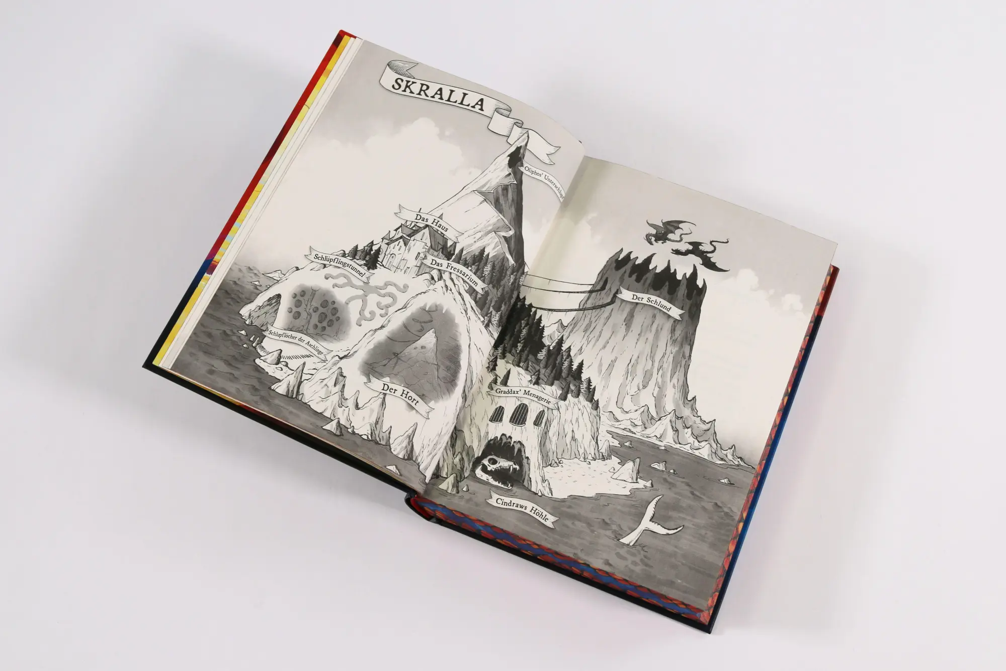 Bild: 9783743224148 | Dragonborn (Band 1) - Das Erbe des Feuers | Struan Murray | Buch