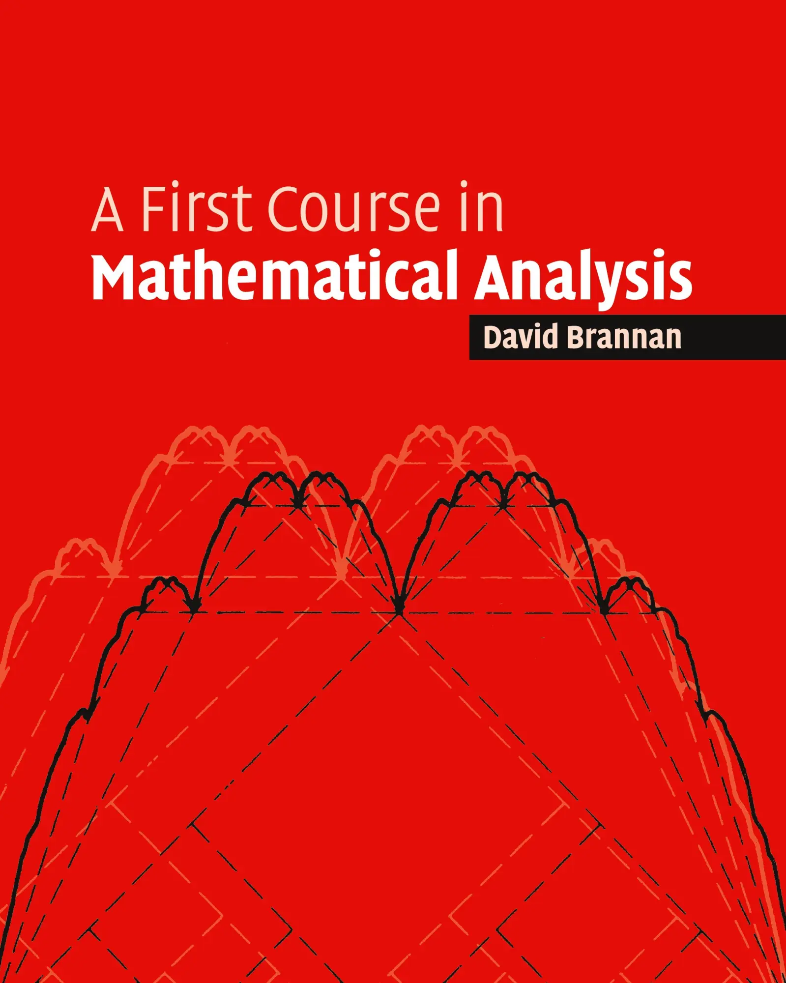 Cover: 9780521684248 | First Course Mathematical Analysis | David Alexander Brannan | Buch