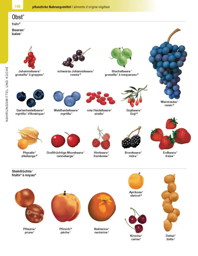 Bild: 9783125144248 | Langenscheidt Illustriertes Wörterbuch Französisch | Buch | 624 S.