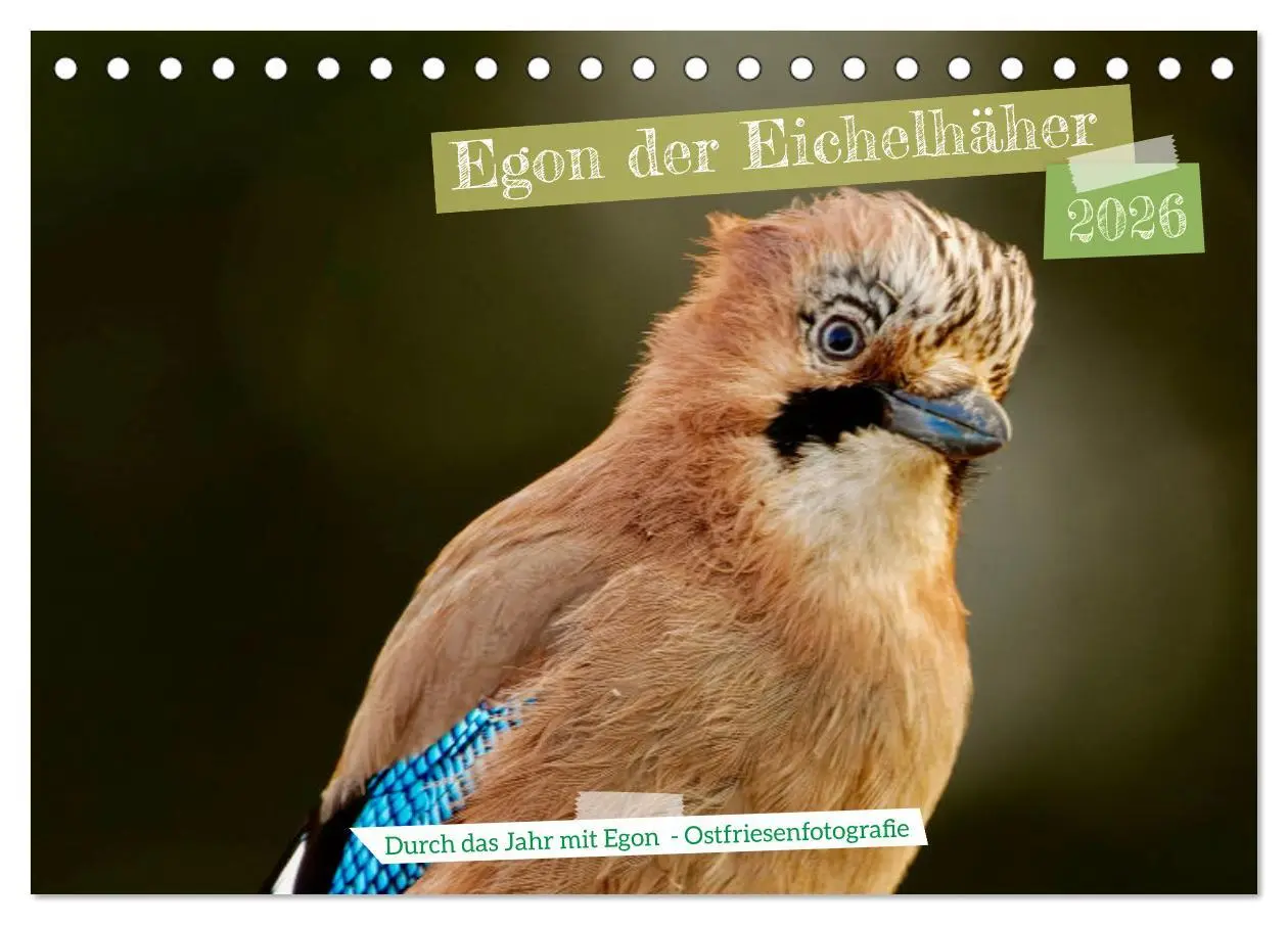 Cover: 9783457414248 | Egon der Eichelhäher - Durch das Jahr mit Egon - von...